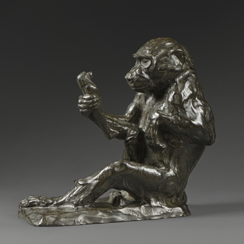 Monkey examining small statue 1905